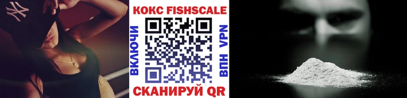 COCAIN Fish Scale  где можно купить   Катайск 