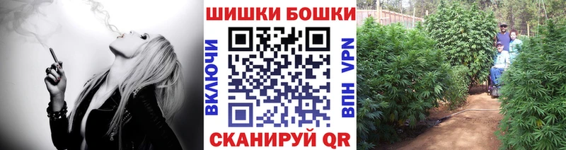 Бошки Шишки сатива  OMG ТОР  Катайск 
